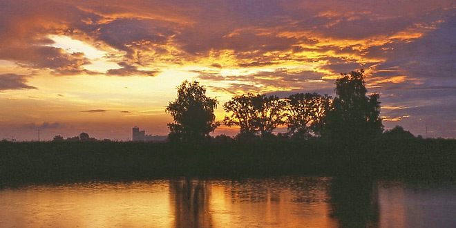 Bild von der Badischen Landoase